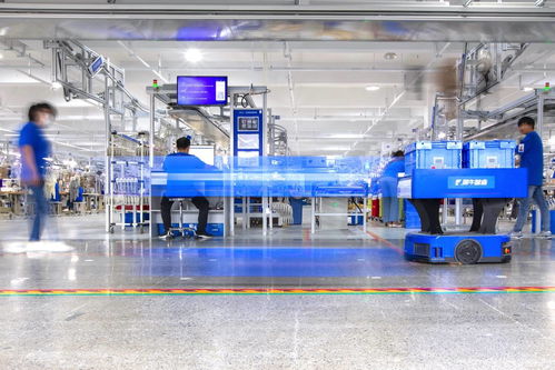 天猫618预售盛况 犀牛工厂订单排期至下月，家禽销售表现亮眼