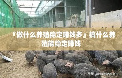 家禽养殖 稳定盈利的致富之路