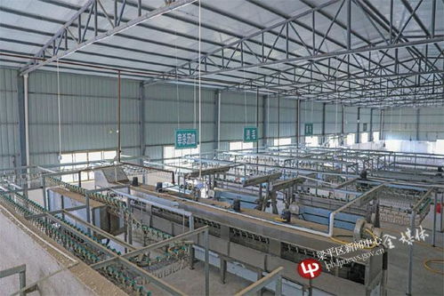 梁平区首家现代化自动家禽屠宰厂正式投用，助力家禽销售产业升级