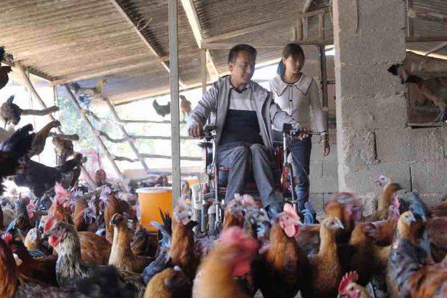 开屏人物｜云南昌宁 轮椅上的“鸡司令”与他的家禽销售事业